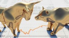 Is forex trading and stock trading good for beginners?